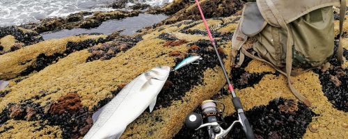 Pêche en mer du bord