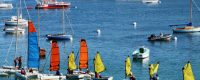 Voile